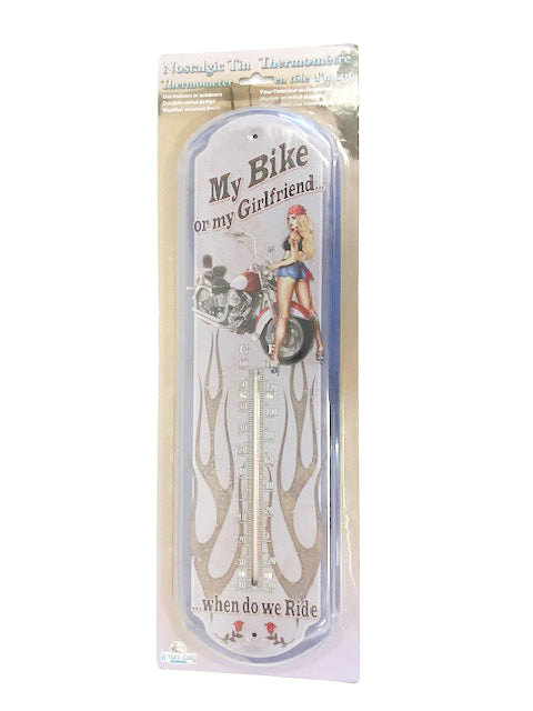 Tin Thermometer - My Bike