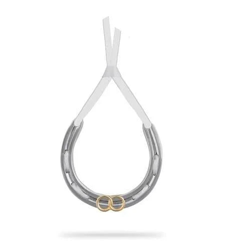 Wedding Horseshoe with Gold Rings